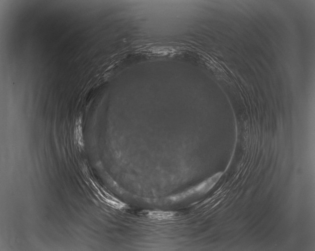 X0000084571394200702231246