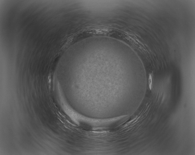 X0000084571395200702231246