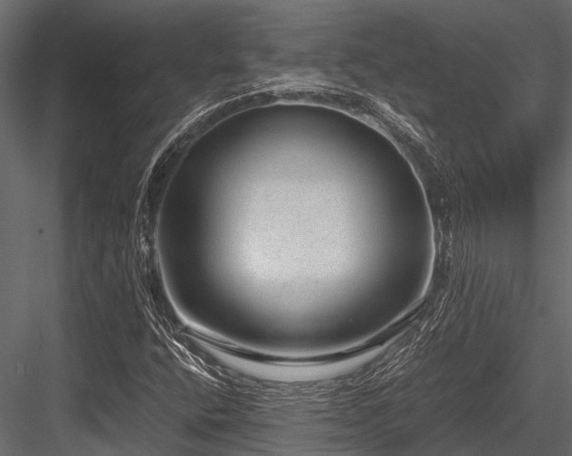 X0000084571400200702231246