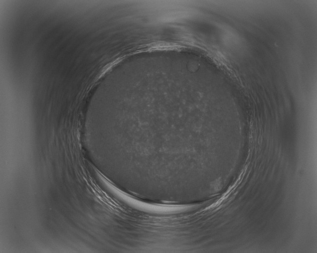X0000084571401200702231246