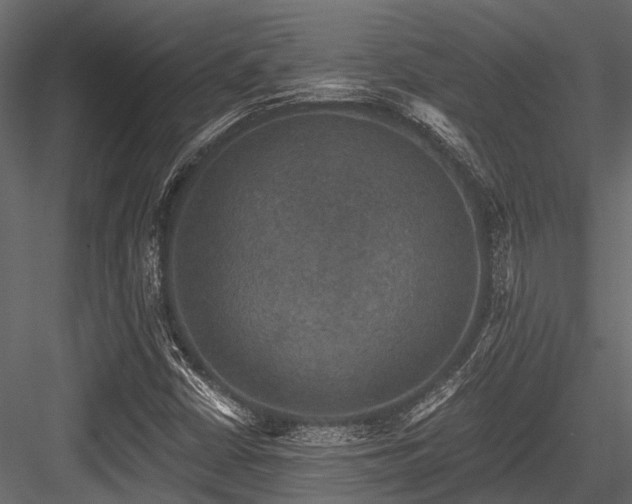 X0000084571402200702231246