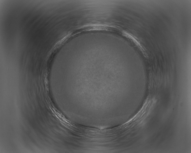 X0000084571403200702231246