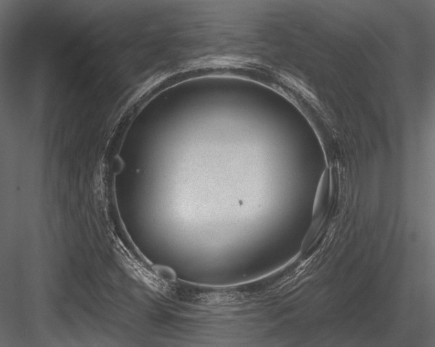 X0000084571404200702231246