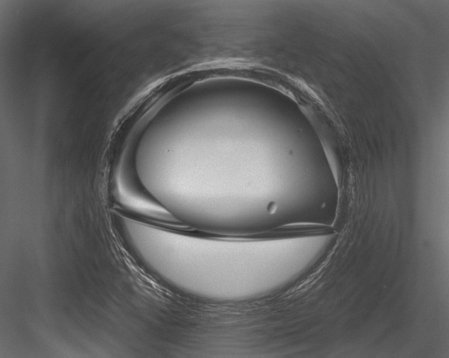 X0000084571406200702231246