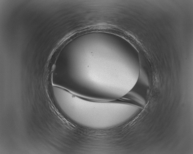 X0000084571410200702231246