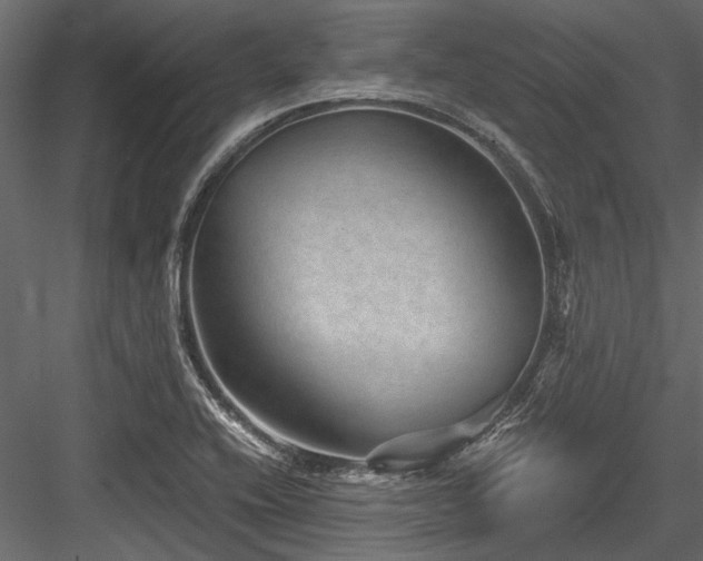 X0000084571416200702231247