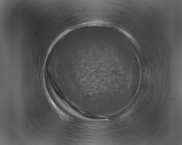 X0000084571418200702231247