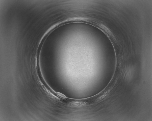 X0000084571420200702231247