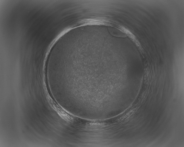 X0000084571427200702231247