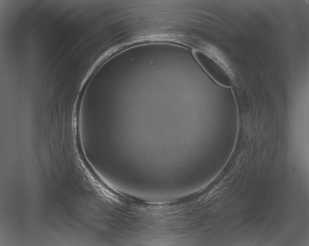 X0000084571428200702231247