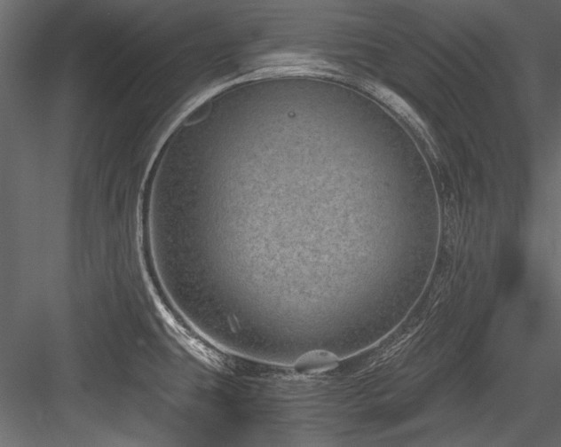 X0000084571431200702231247