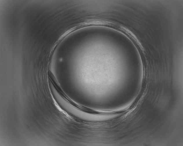 X0000084571433200702231247