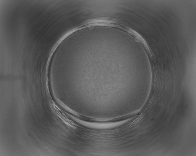 X0000084571435200702231247