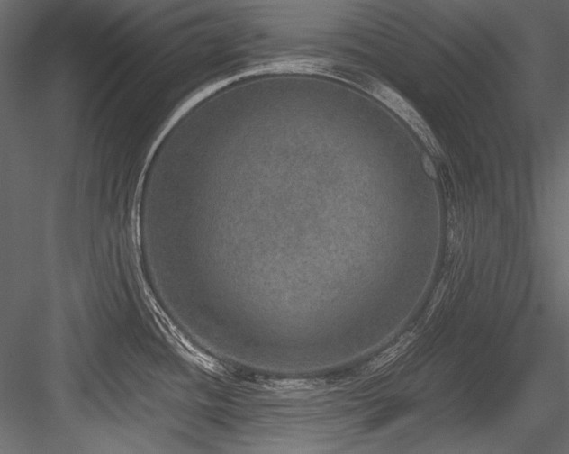 X0000084571436200702231247