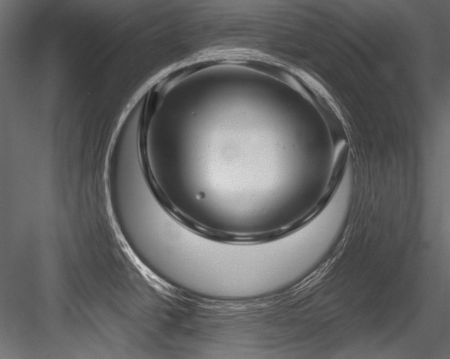 X0000084571438200702231247