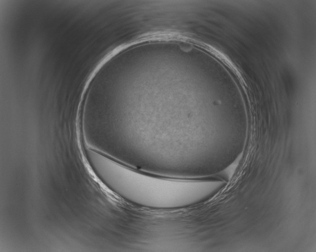 X0000084571440200702231247