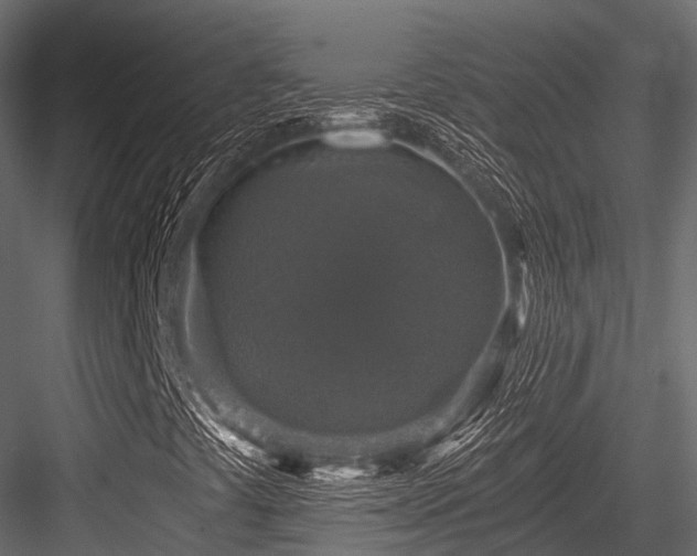 X0000084571441200702231246