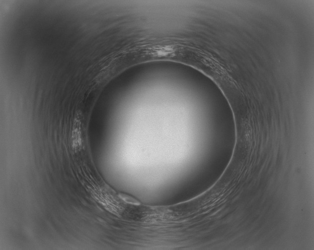 X0000084571442200702231246