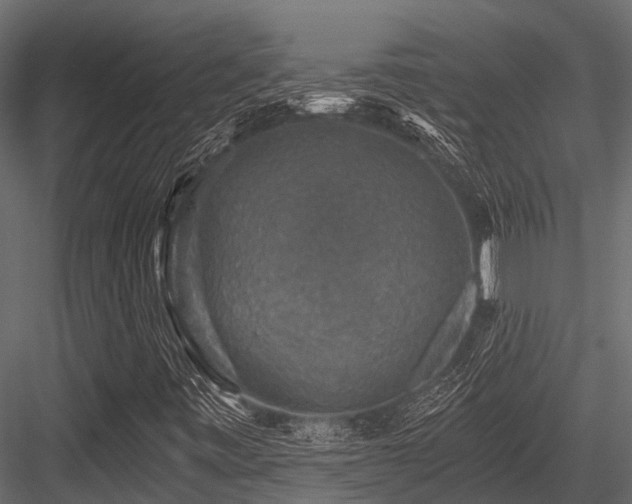 X0000084571443200702231246