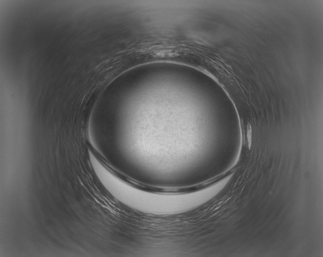 X0000084571444200702231246
