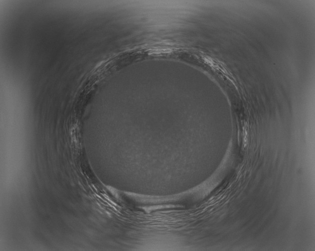 X0000084571445200702231246