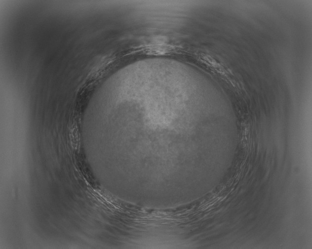 X0000084571446200702231246