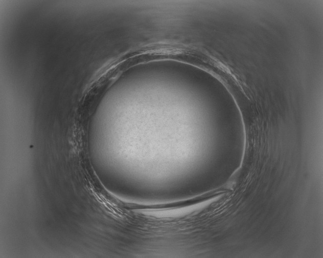 X0000084571448200702231246