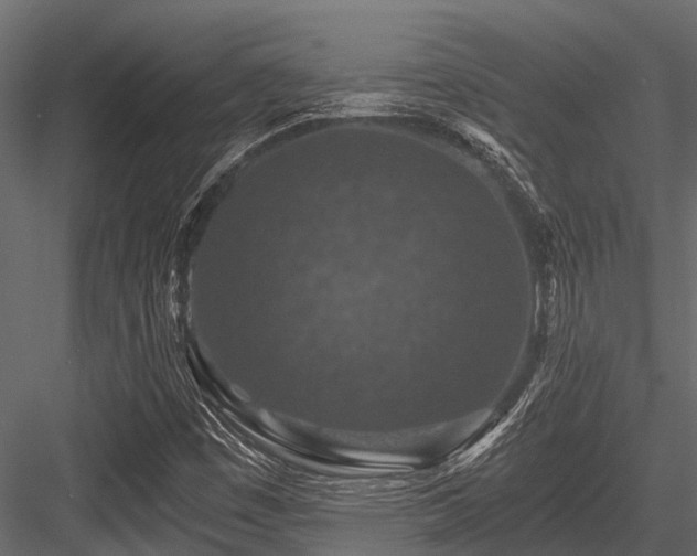 X0000084571449200702231246