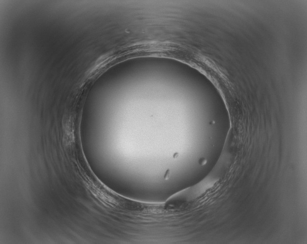 X0000084571451200702231246
