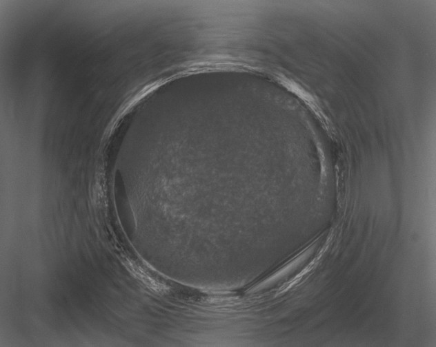 X0000084571453200702231246