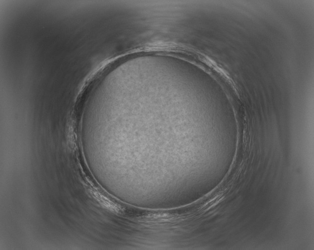 X0000084571454200702231246