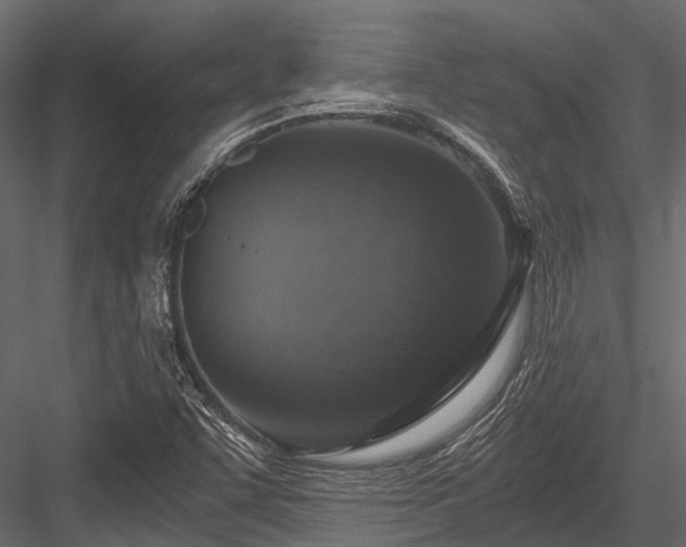 X0000084571455200702231246
