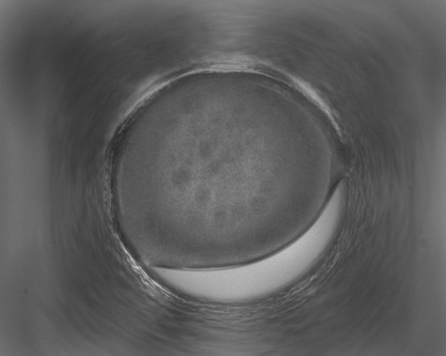 X0000084571456200702231246