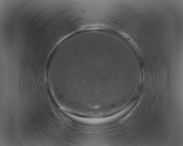 X0000084571457200702231246