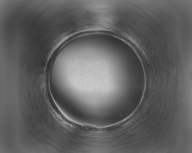 X0000084571460200702231246