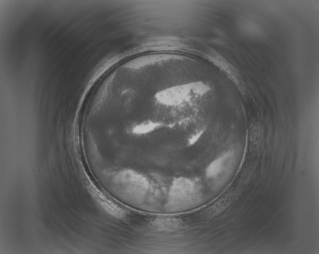 X0000084571466200702231246