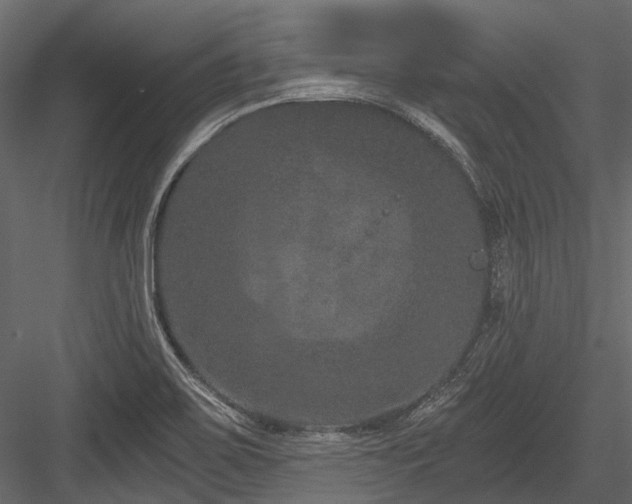 X0000084571467200702231246