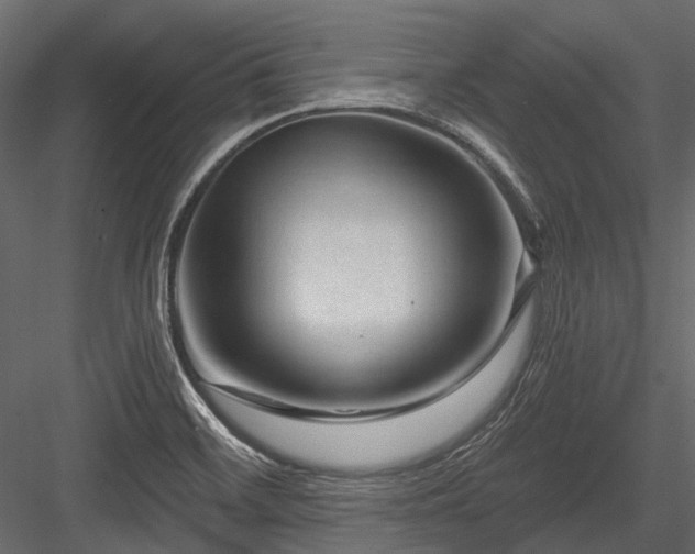 X0000084571468200702231246