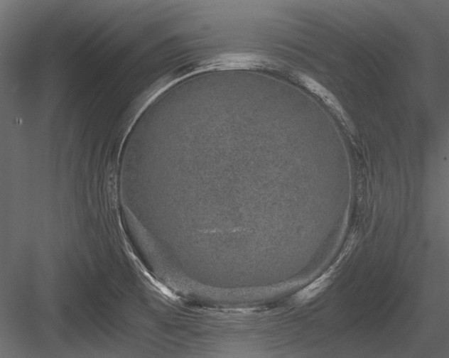 X0000084571473200702231246