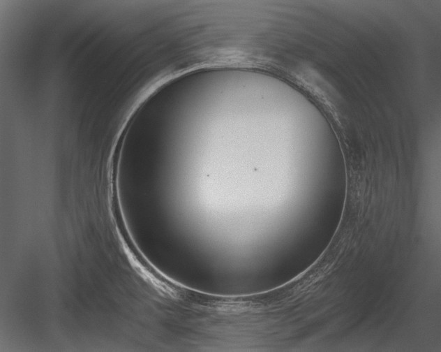 X0000084571479200702231245