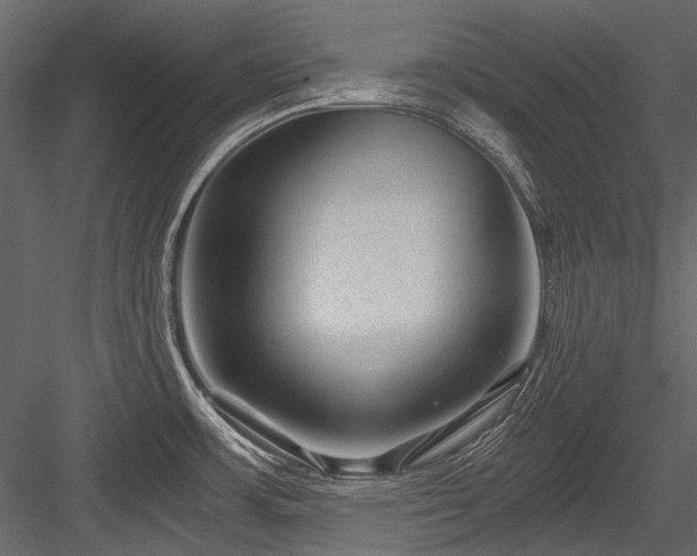 X0000084571483200702231245