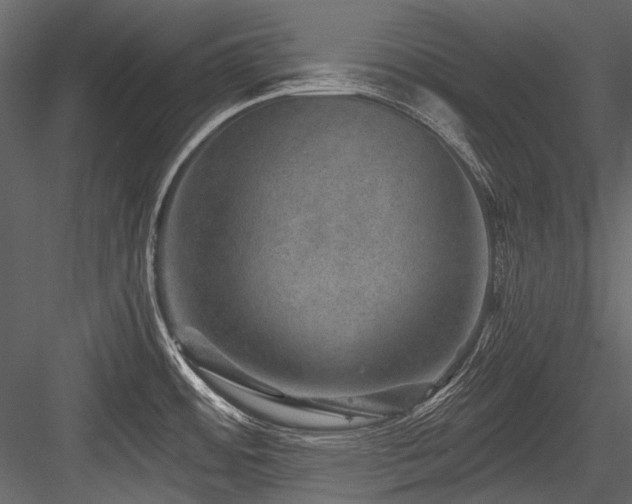 X0000084571484200702231245