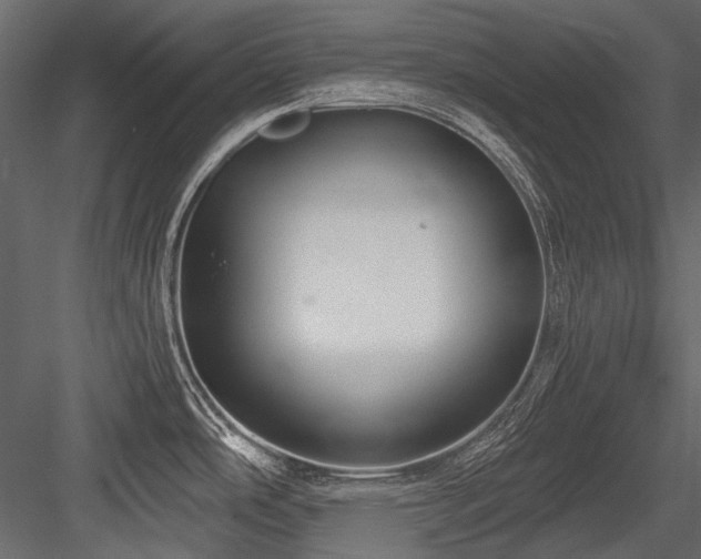 X0000084571486200702231245