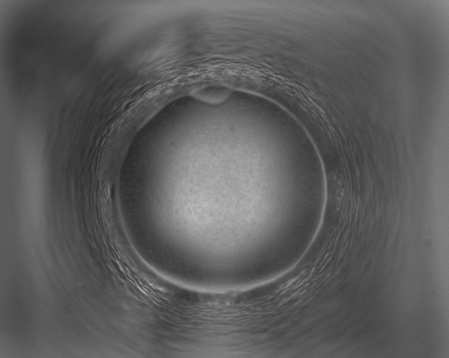 X0000084571489200702231244