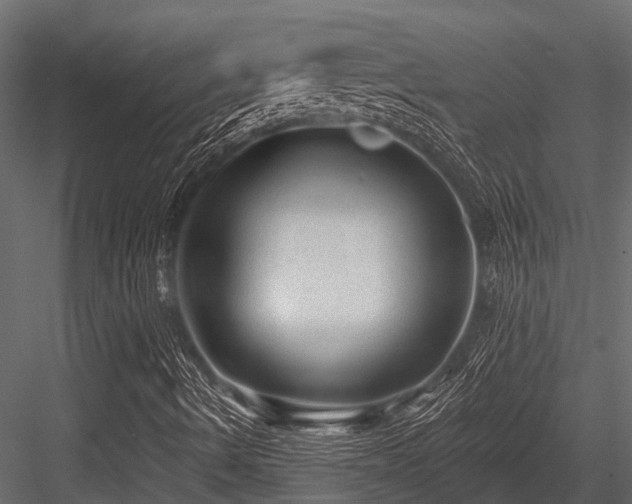 X0000084571490200702231245