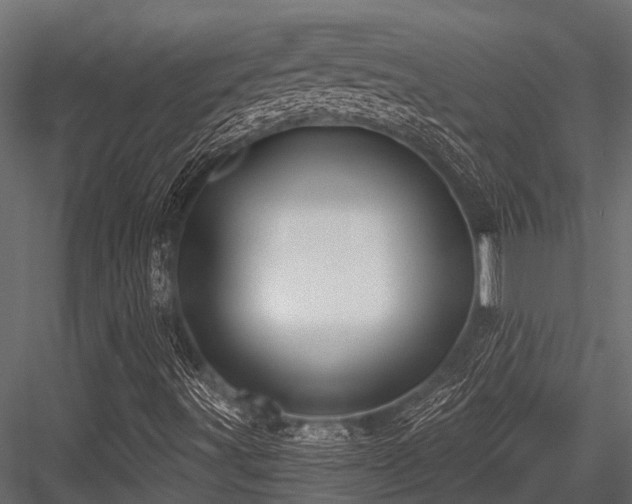 X0000084571491200702231245