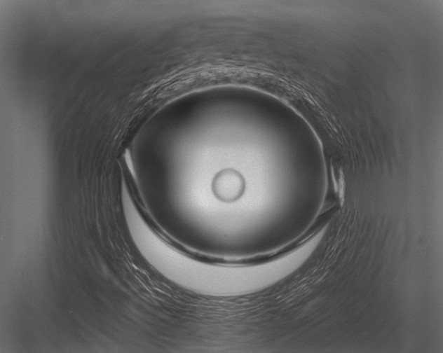X0000084571492200702231245