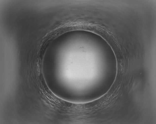 X0000084571493200702231245