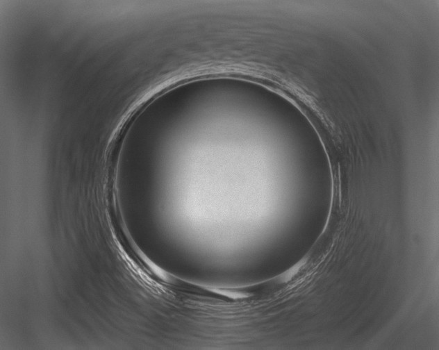 X0000084571500200702231245