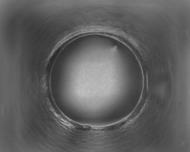 X0000084571501200702231245